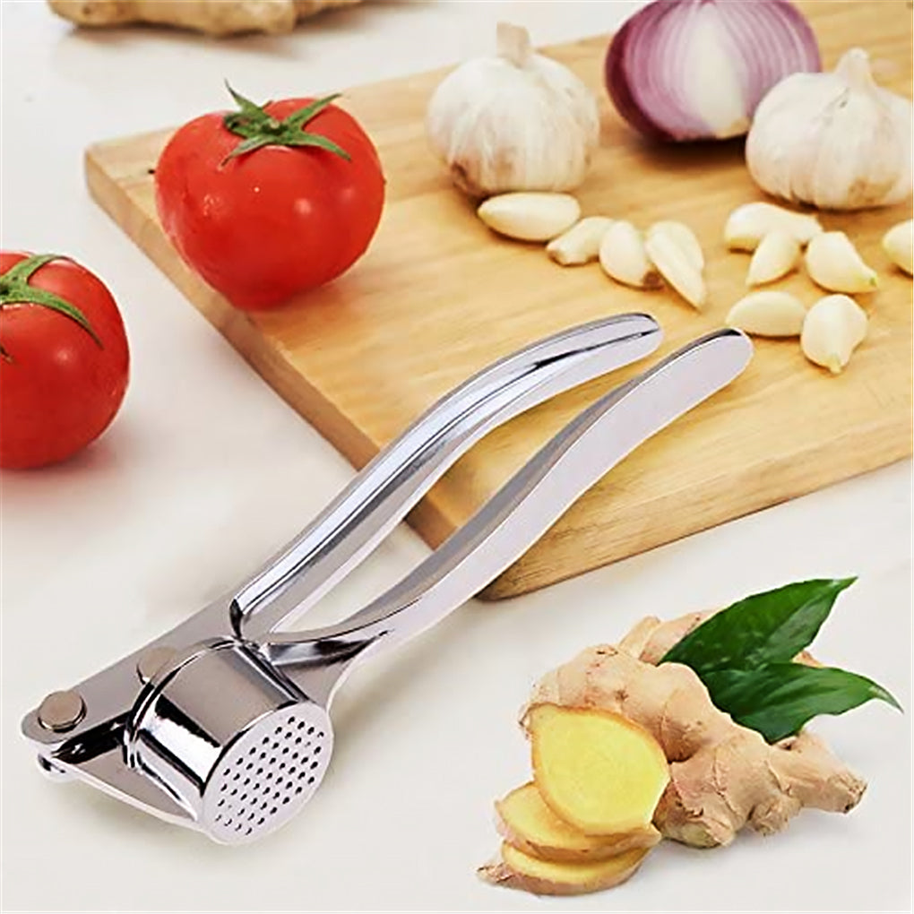 Stainless Steel Garlic Crusher