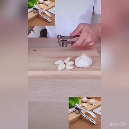 Stainless Steel Garlic Crusher